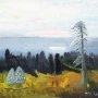 Любовь Майкова. На севере диком Дар Господа. 1990-е