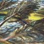 Юрий Петкевич. Три дерева над водой. 2015. Бумага, см. техн. 39х51,5. МОК/Традиция