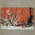 С. Морозов. «И публицистика, и поэзия»