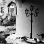 Регистер Борис. Два мира. Калининградская обл., г. Гвардейск. 2015 г. Фотобумага, серебряно-желатиновая авторская печать. 260х377 (302х404). МРФ/МОК ОФ-4940 Ф-6/Рег