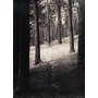 Анатолий Кузнецов. Без названия. 1940-1950-е ручная ч/б печать. 233х174. Ф-3/Кз