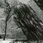 Алексей Зеленский. Улица Ленина