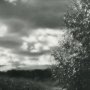 Алла Полетаева. Серебряный ветер. 2006 г. Серебряно-желатиновая печать. 254х379. Ф-3/Пол